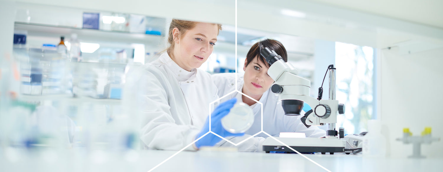 spermidineLIFE® Laborforschung