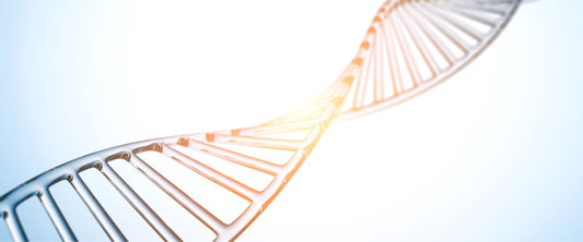 DNA-Schäden: Wie Dein Erbgut täglich geschützt bleibt