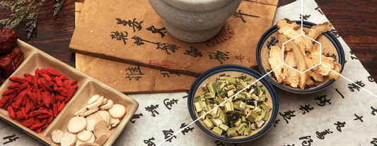 Unsere Produkte aus Sicht der Traditionellen Chinesischen Medizin (TCM)