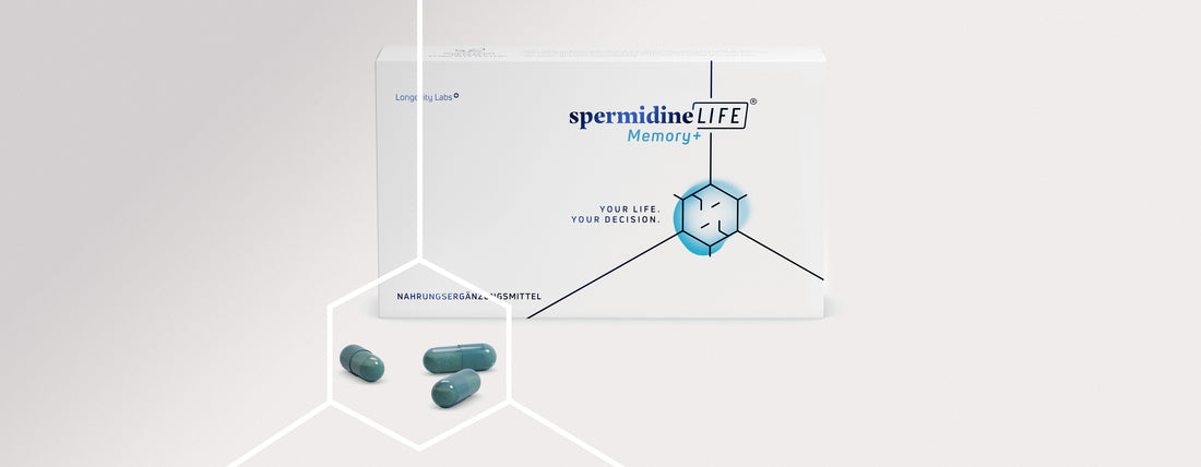 Innovation for brain cells: spermidineLIFE® Memory+