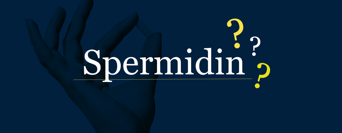 How spermidine got its name