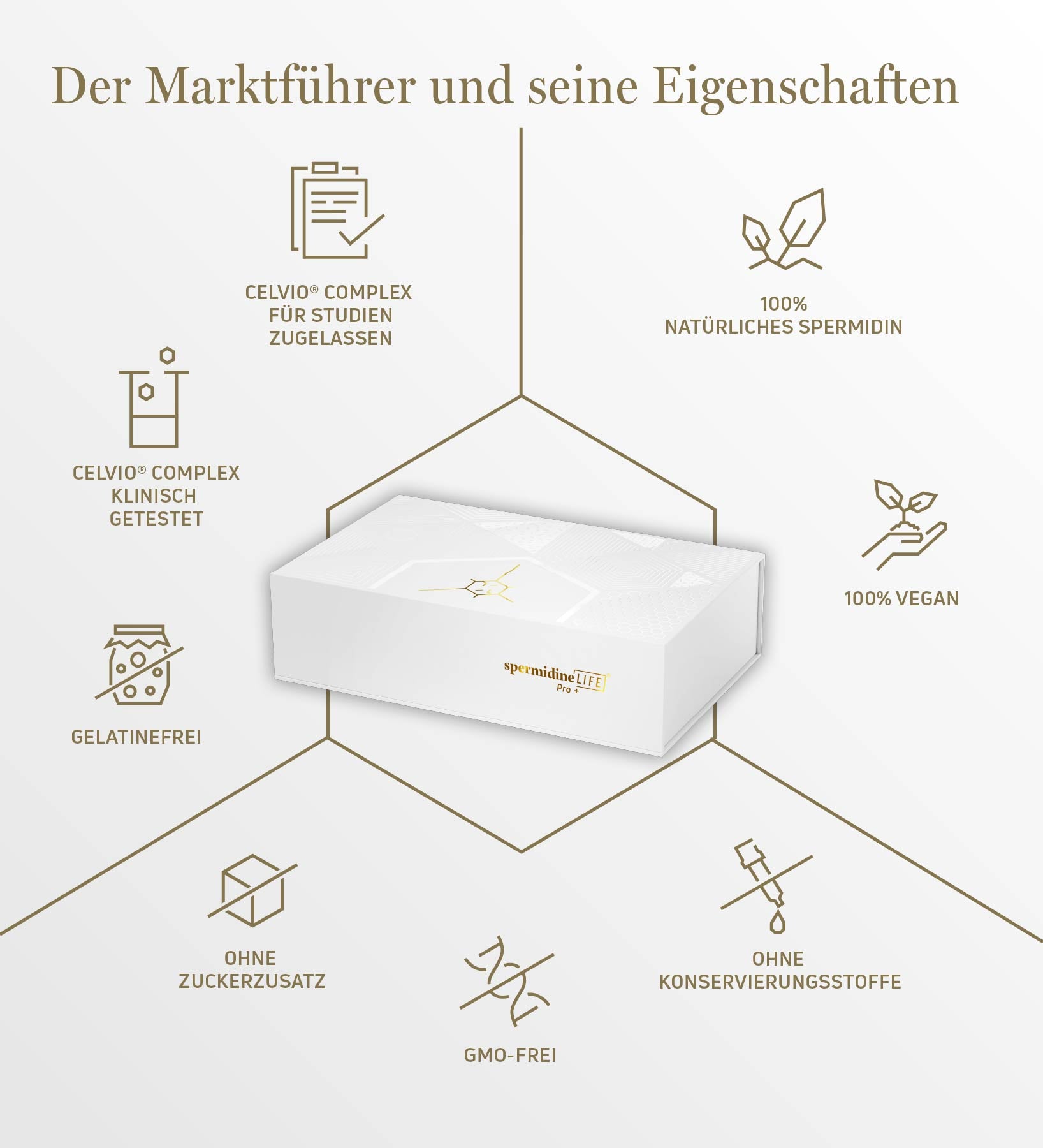 spermidineLIFE®