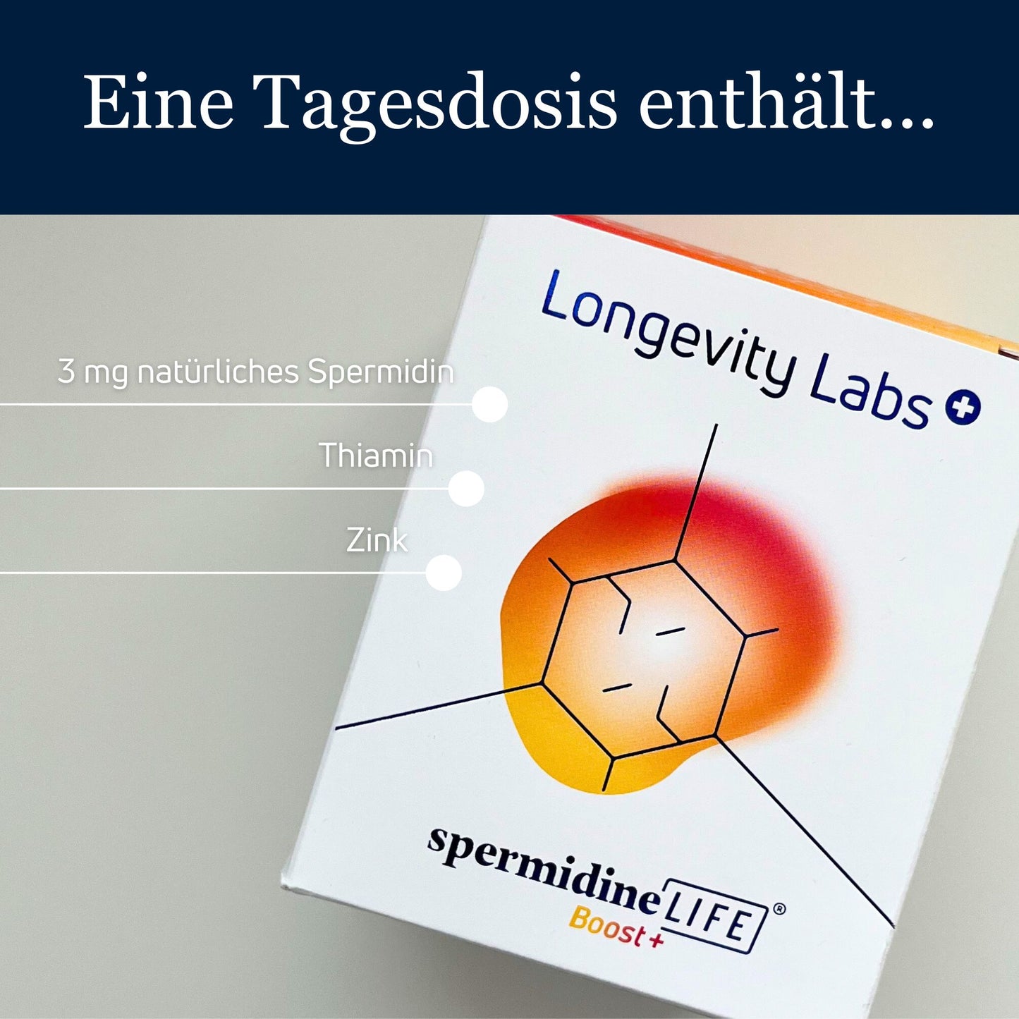 spermidineLIFE® Boost+