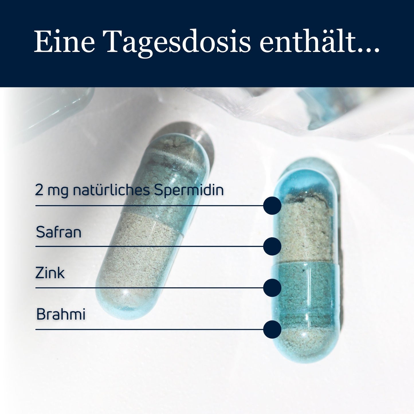 spermidineLIFE® Memory+