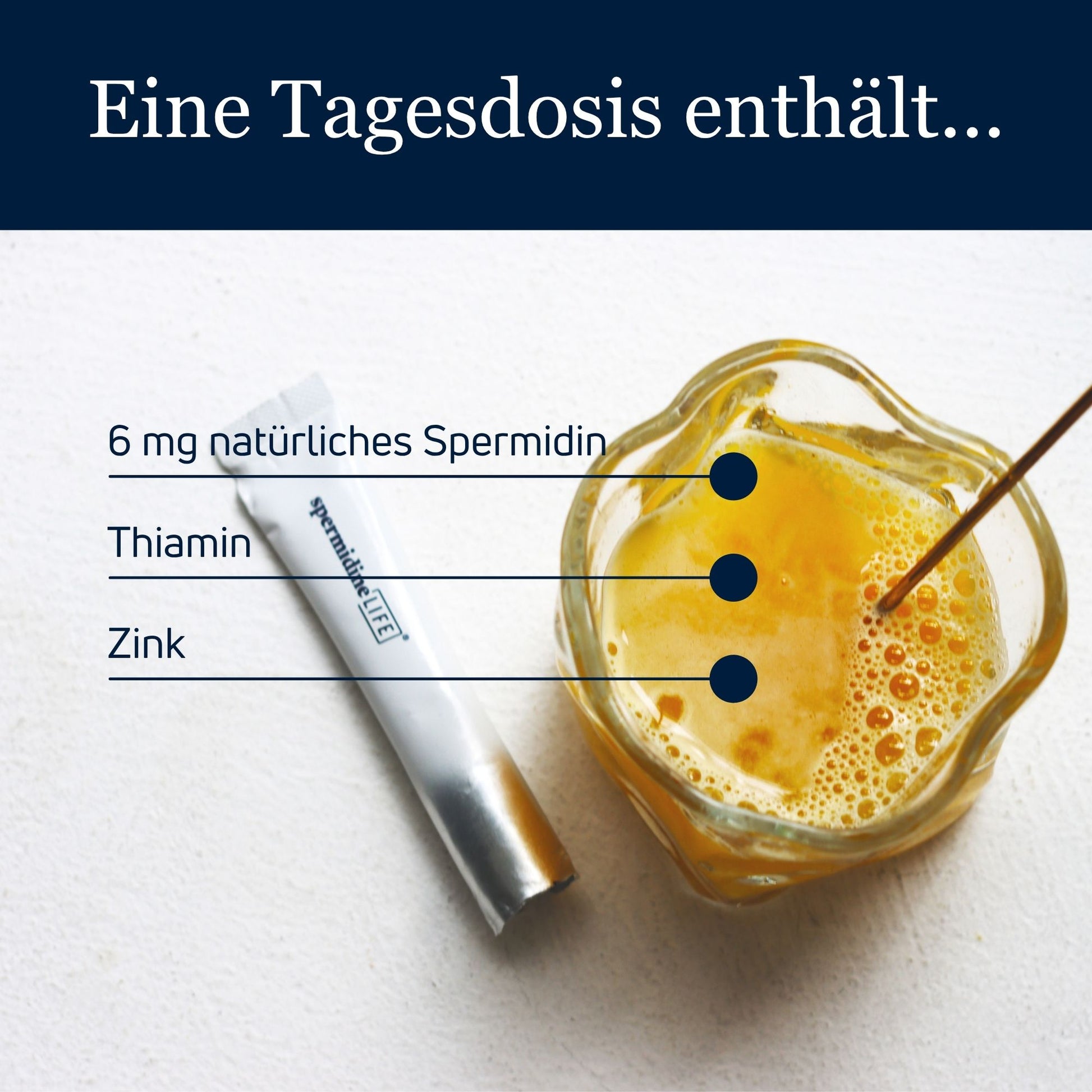 spermidineLIFE®