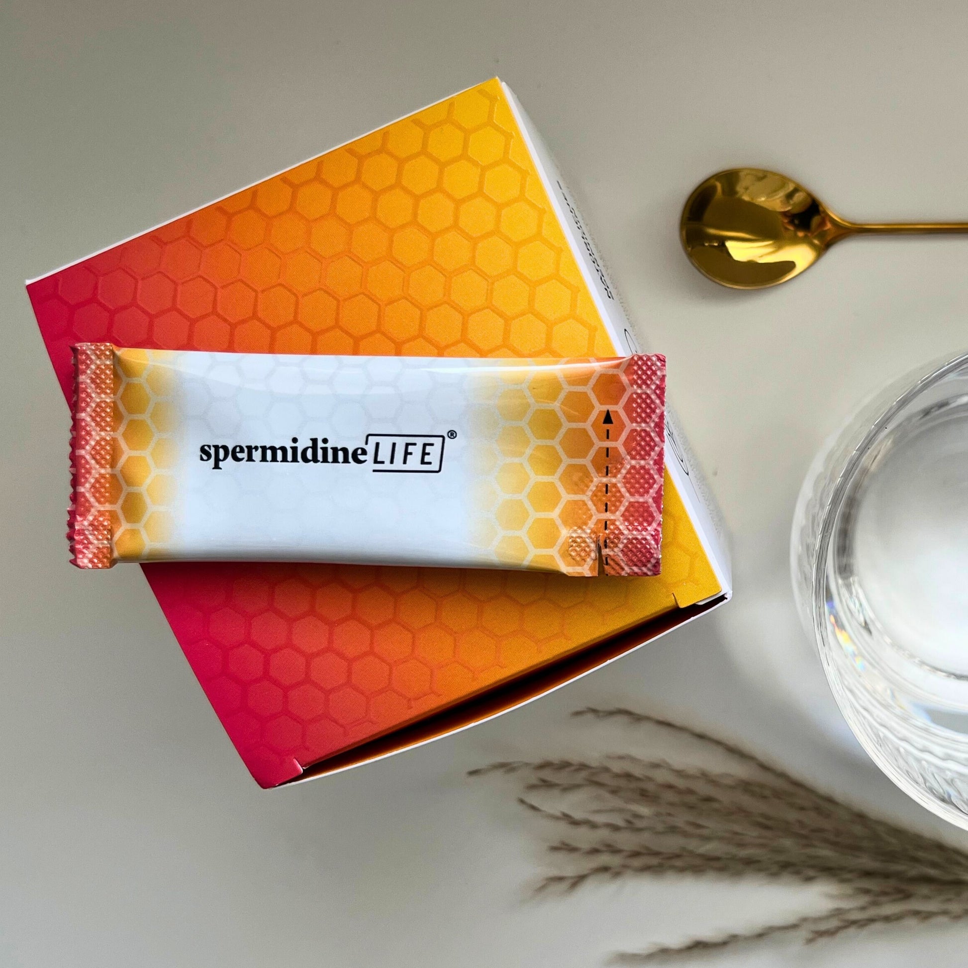 spermidineLIFE®