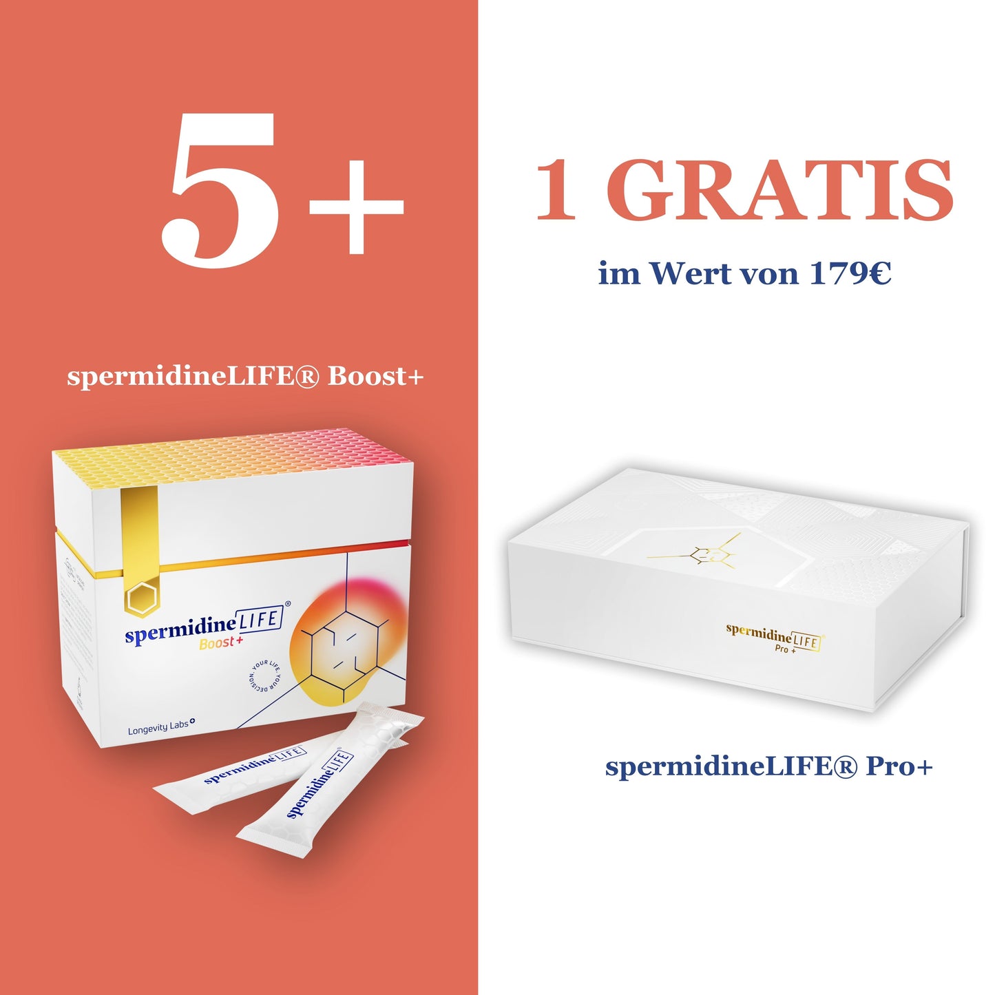 spermidineLIFE® Boost+ 6-month bundle