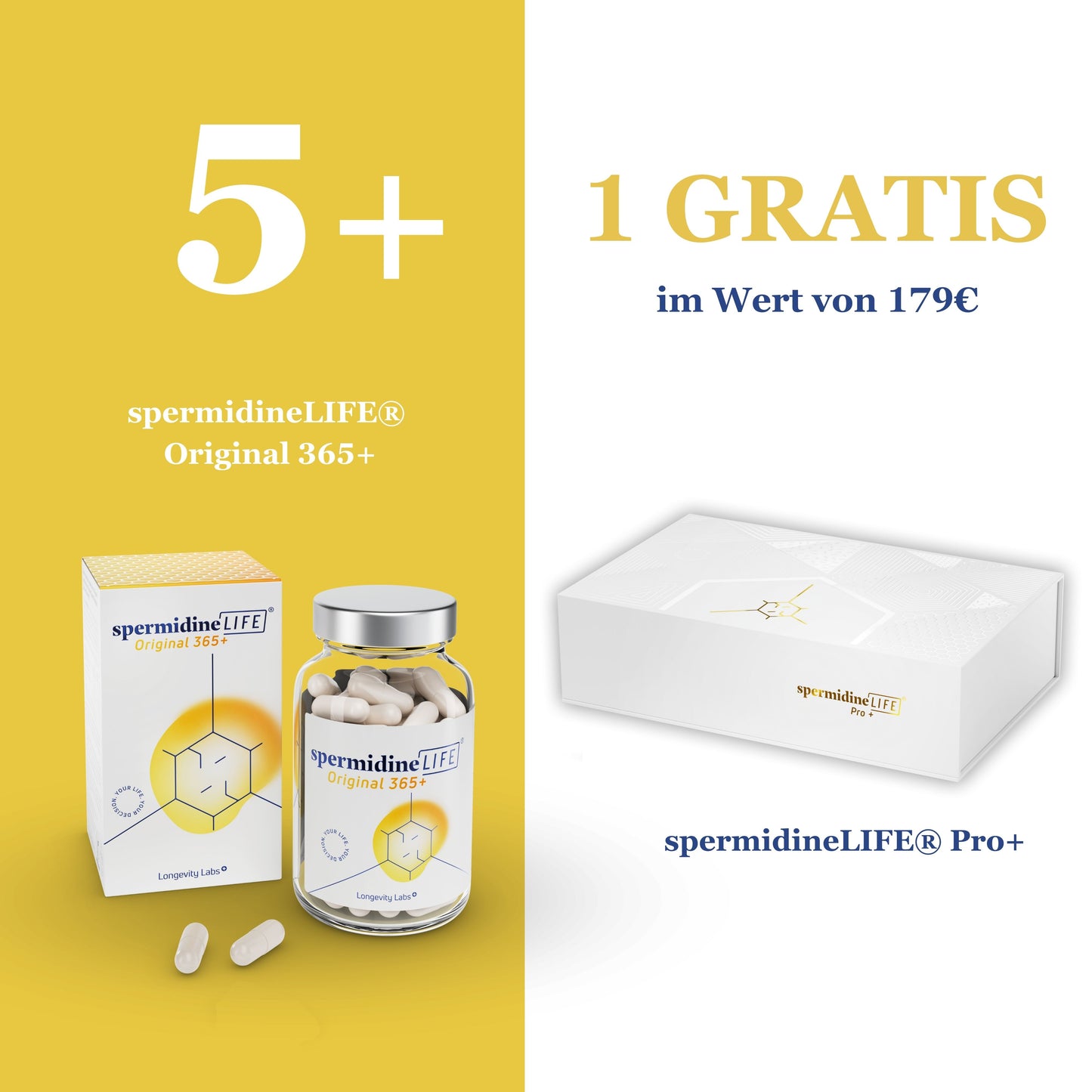 spermidineLIFE® Original 365+ 6-month bundle